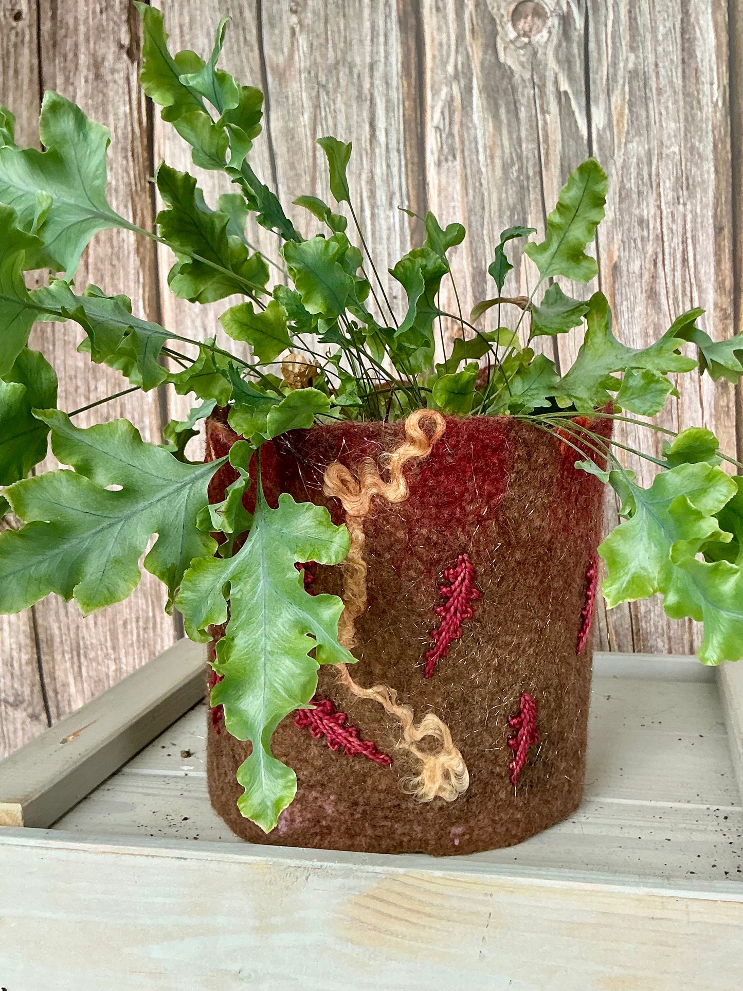 Autumn leaves plant wrap